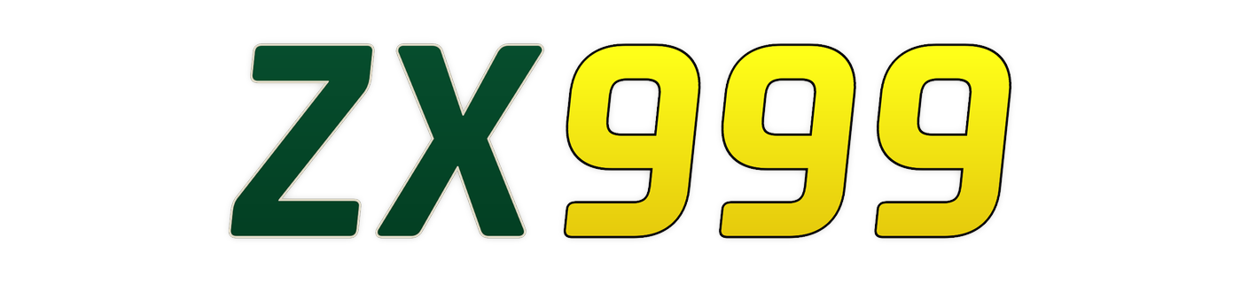 zx999 Logo